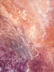 Vene rosa del deserto