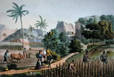Isola di Guam: Lavori agricoli, da 