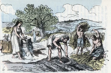 Vita quotidiana nella Preistoria: scena di lavoro agricolo nell’età del ferro. Incisione da «La nature et l’homme» di Rengade, 1881. Collezione privata