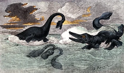 Periodo Lias (Giurassico Inferiore): Plesiosauro e Ittiosauro, creazione naturale e esseri viventi (di Jules Rengade) Disegno di A. Demarle. 1885