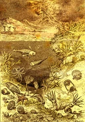 Preistoria-Fine del periodo Siluriano: Creazione naturale e esseri viventi (J. Rengade) Disegno di A. Demarle. 1885