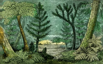 Preistoria, periodo del carbone: Palude e foresta del periodo carbonifero (J. Rrengade)