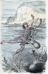 Tavola zoologica; mollusco cefalopode, bagnante catturato da un grande polpo e musquee eledone (Tavola zoologica: nuotatore catturato da un polpo) Incisione da 