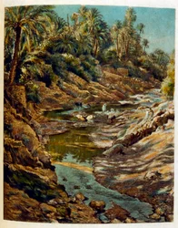 Illustrazione di Dinet da 