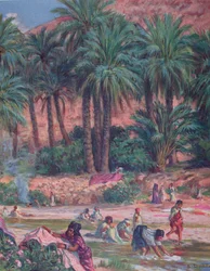 Palme. La palma fu benedetta dal profeta Maometto nel Corano. Litografia a colori, 1918.