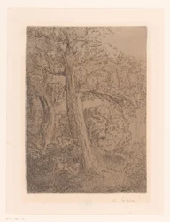 Due alberi