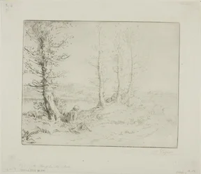 Lungo la riva del fiume