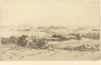 Le rive della Yanne