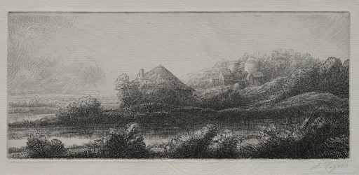 Capanna nella palude