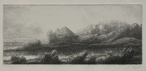 Capanna nella palude