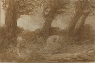 Colpo di tuono