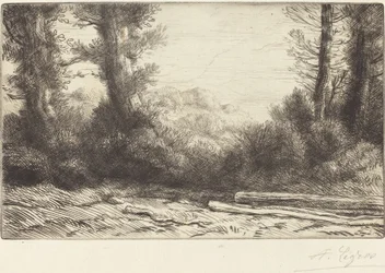 Bordo di un bosco (Lisiere de bois)