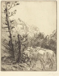 Fattoria sulla Collina
