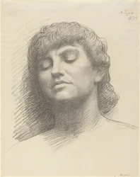 Testa