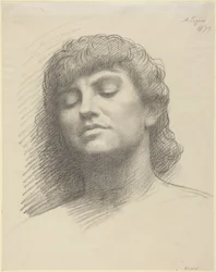 Testa