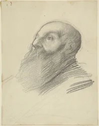 Testa di uomo barbuto