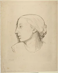 Testa di donna