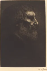 Testa di mendicante (Tête de mendiant)