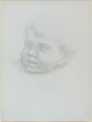 Testa di un bambino