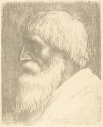 Testa di un uomo