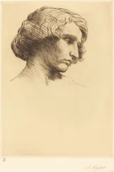 Testa di un uomo