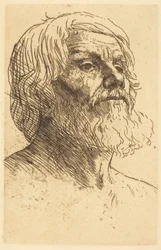 Testa di uomo