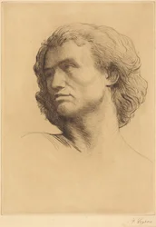 Testa di uomo