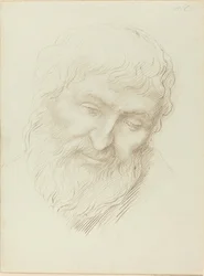 Testa di un uomo