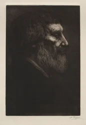 Testa di un uomo