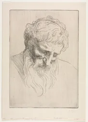Testa di un uomo