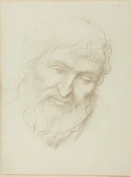 Testa di uomo