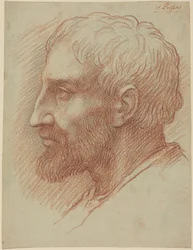 Testa di uomo
