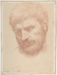 Testa di uomo
