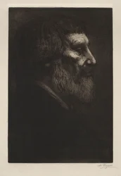 Testa di un uomo