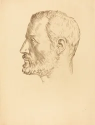 Testa di un uomo