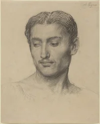 Testa di giovane uomo