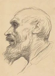 Testa di un anziano