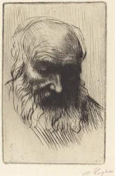 Testa di un vecchio (studio)