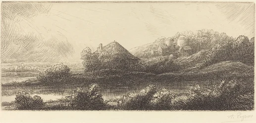 Capanna nella palude