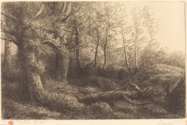 Nella foresta (Lisiere de foret)