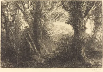 Nella foresta di Conteville