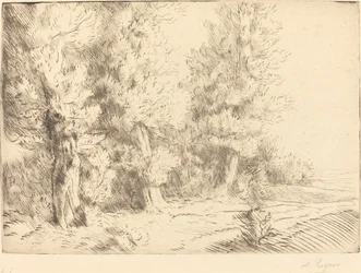 Nella Foresta di Fontainebleau