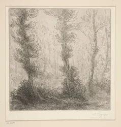 Il piccolo lago