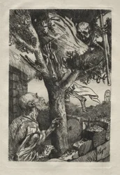 La morte nel pero