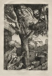 La morte nel pero