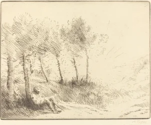 Paesaggio
