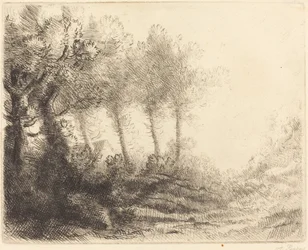 Paesaggio