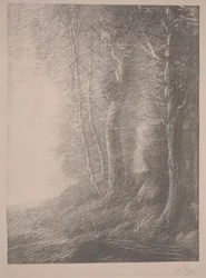 Paesaggio