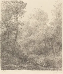 Paesaggio: Nebbia del mattino