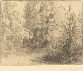 Paesaggio: Vicino a Chailleux